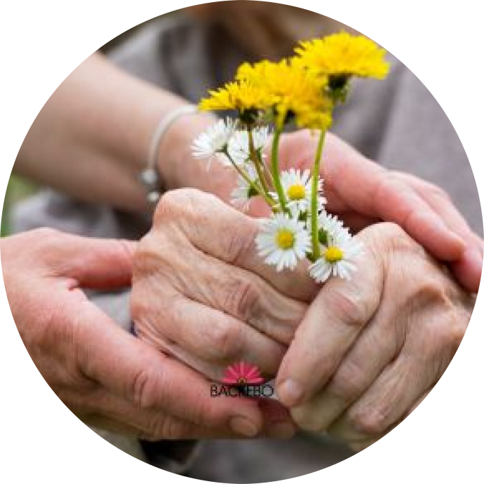 Äldre händer som håller blommor kramas om